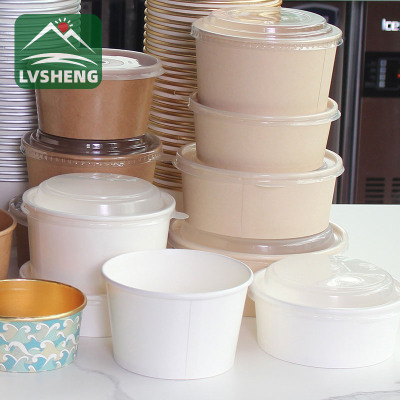 I-Bagasse Paper SALAD SALAD